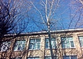 Снегозадерживающие устройства -дети в потенциальной опасности!!! 