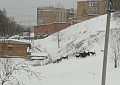 Бродячие собаки скоро кого-нибудь задерут!!!