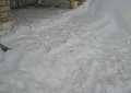По колено в снегу